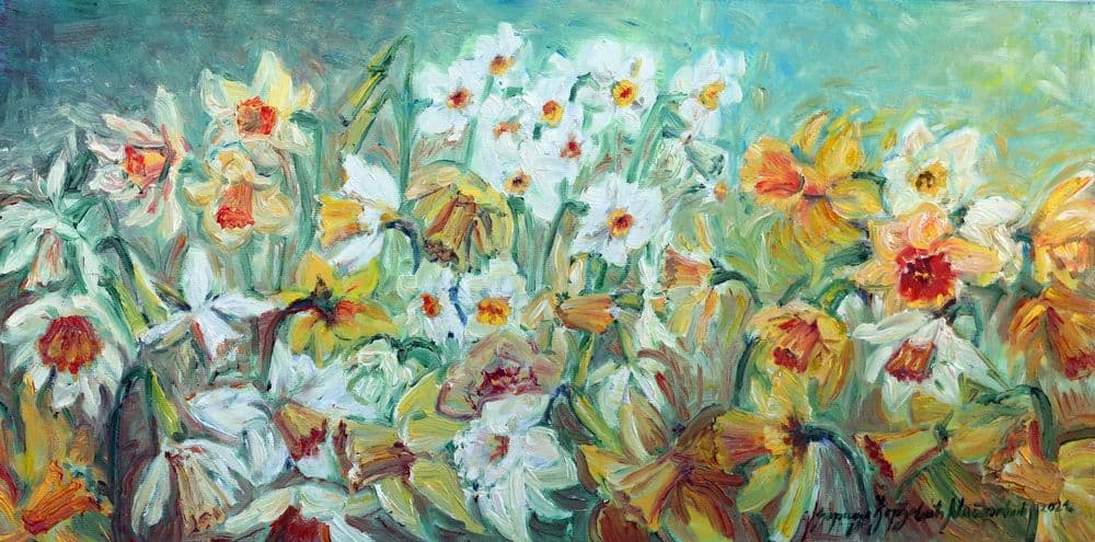 Narcisi - Slika image