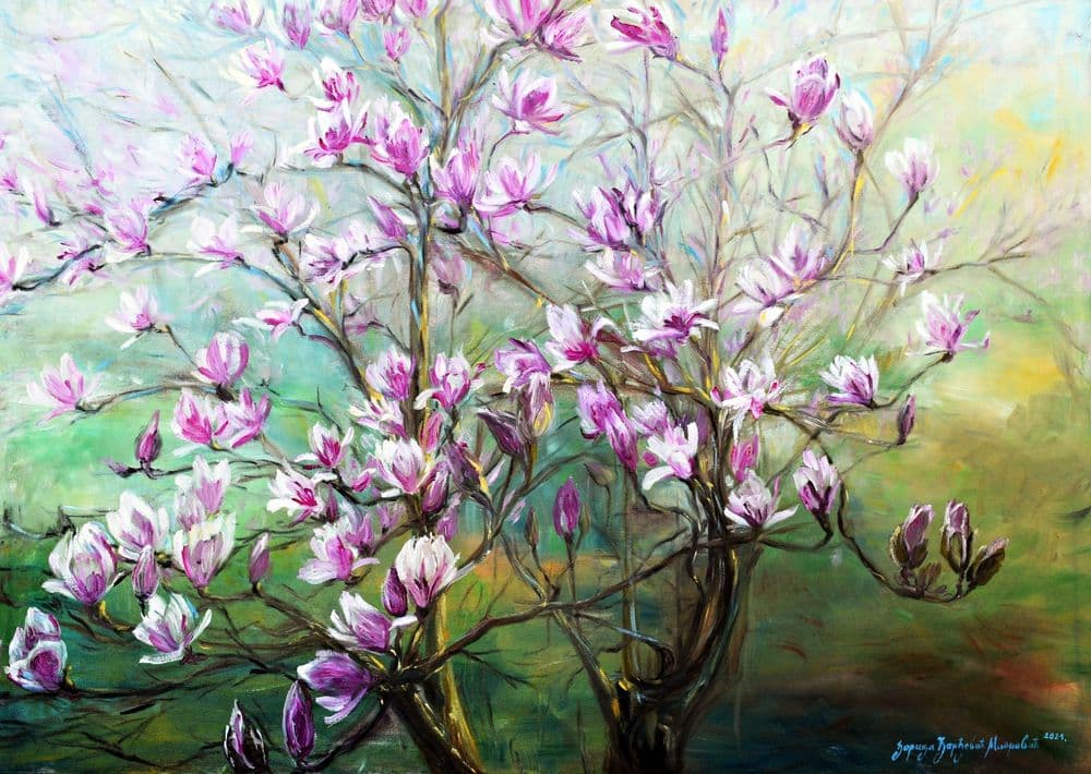 Magnolija - Slika image